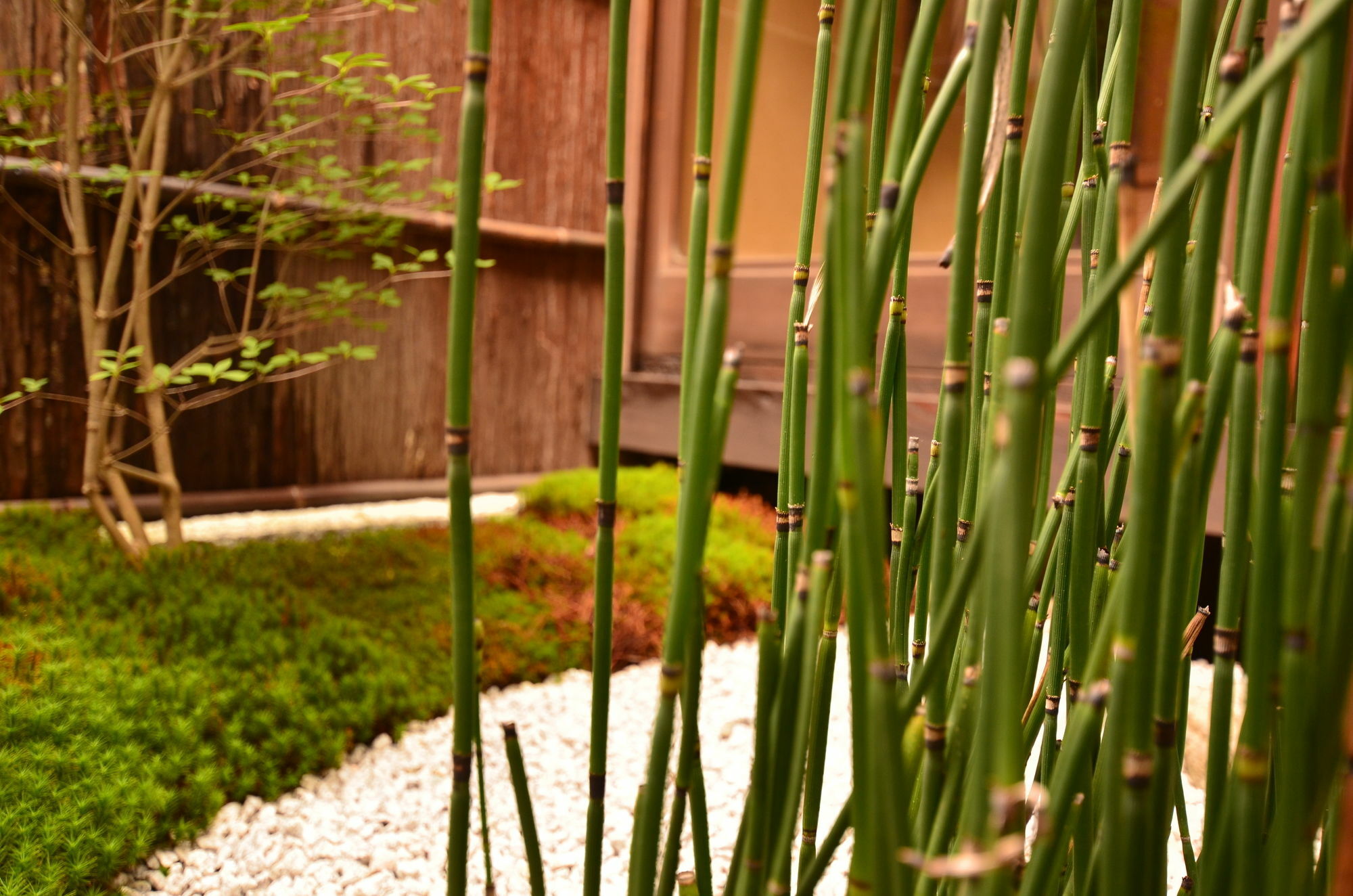 Grateful Hotel Kyoto Exterior photo